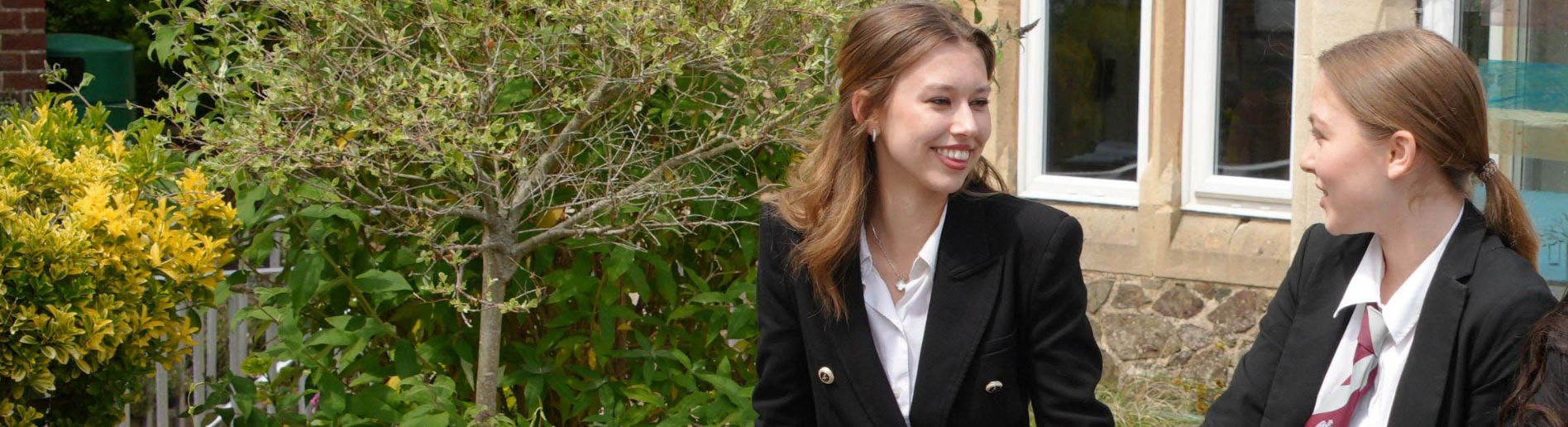 Terms and Conditions